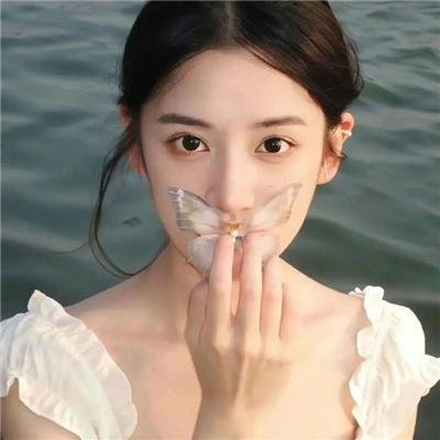 战地情莺